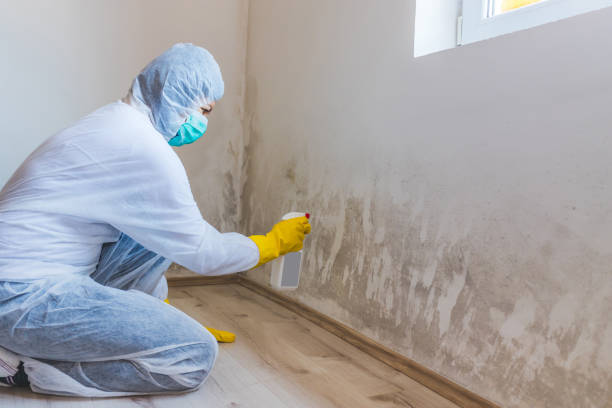 Mold Remediation specialist working in Erwin
